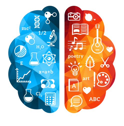 MIDBRAIN ACTIVATION